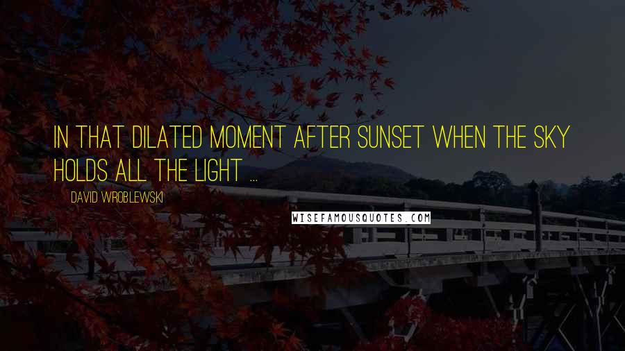 David Wroblewski Quotes: In that dilated moment after sunset when the sky holds all the light ...