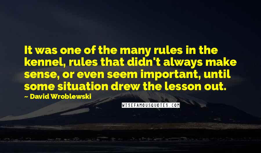 David Wroblewski Quotes: It was one of the many rules in the kennel, rules that didn't always make sense, or even seem important, until some situation drew the lesson out.