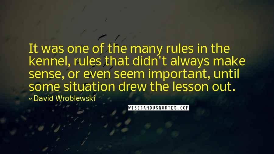 David Wroblewski Quotes: It was one of the many rules in the kennel, rules that didn't always make sense, or even seem important, until some situation drew the lesson out.
