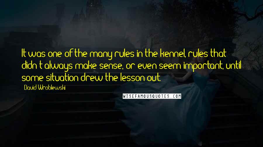 David Wroblewski Quotes: It was one of the many rules in the kennel, rules that didn't always make sense, or even seem important, until some situation drew the lesson out.