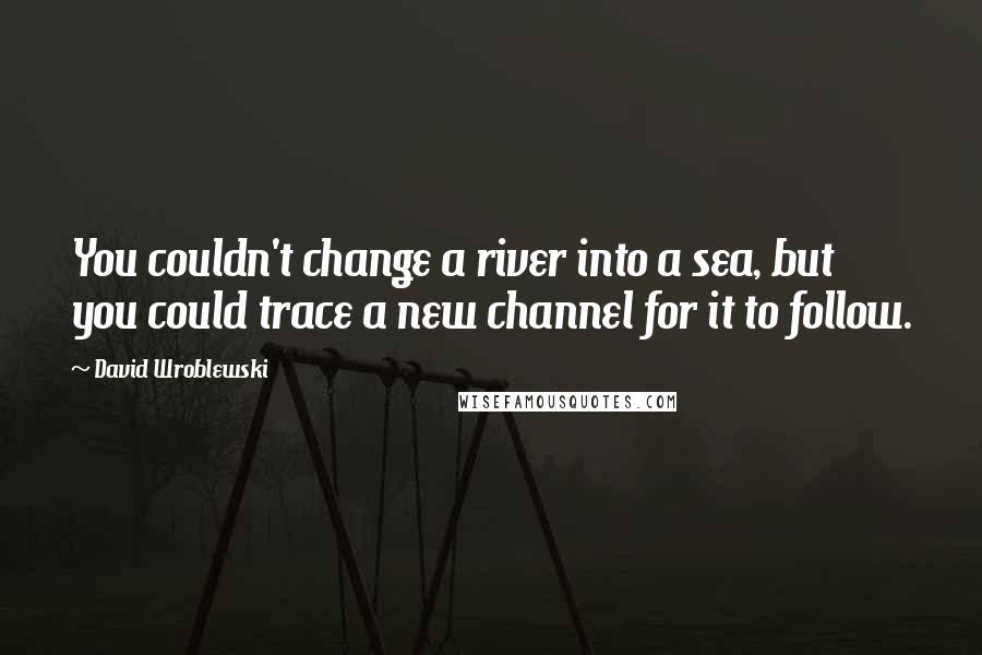 David Wroblewski Quotes: You couldn't change a river into a sea, but you could trace a new channel for it to follow.