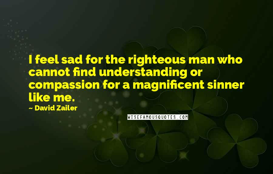 David Zailer Quotes: I feel sad for the righteous man who cannot find understanding or compassion for a magnificent sinner like me.