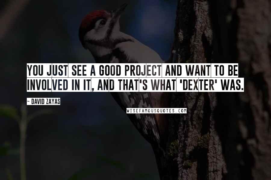 David Zayas Quotes: You just see a good project and want to be involved in it, and that's what 'Dexter' was.