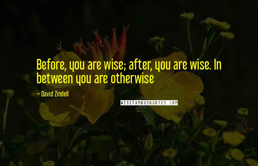 David Zindell Quotes: Before, you are wise; after, you are wise. In between you are otherwise