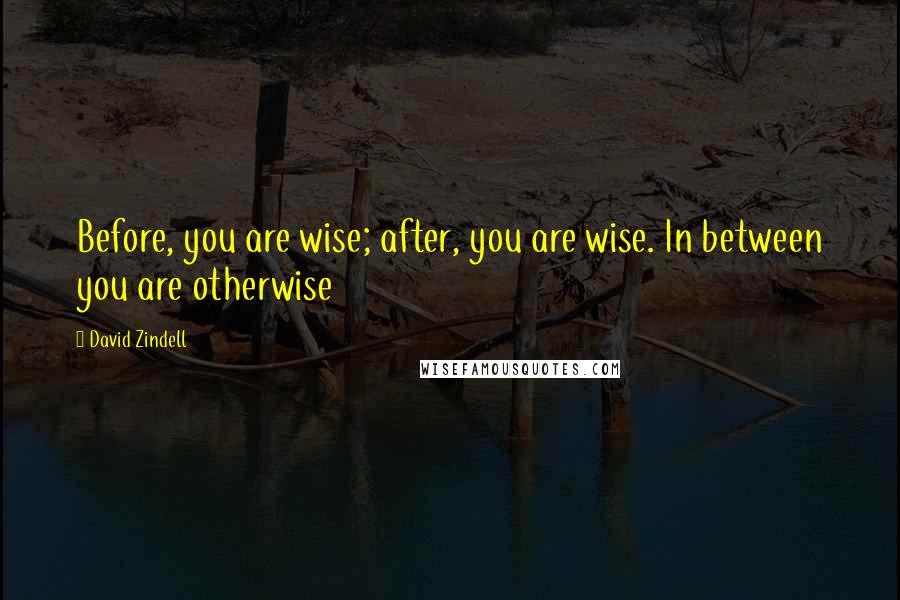 David Zindell Quotes: Before, you are wise; after, you are wise. In between you are otherwise