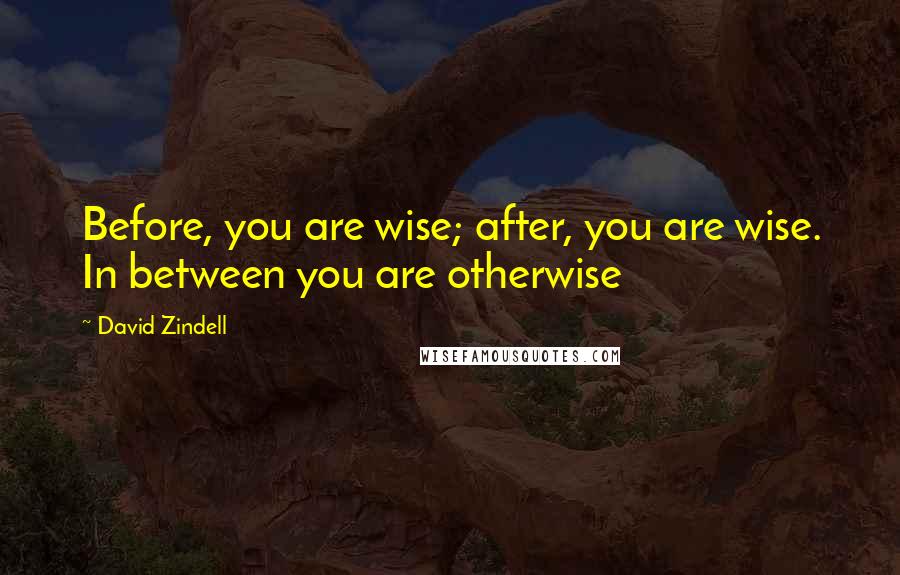David Zindell Quotes: Before, you are wise; after, you are wise. In between you are otherwise
