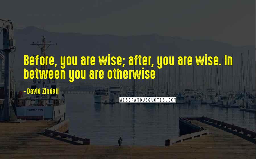 David Zindell Quotes: Before, you are wise; after, you are wise. In between you are otherwise