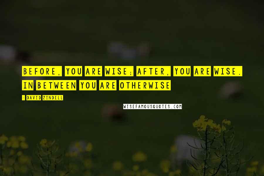 David Zindell Quotes: Before, you are wise; after, you are wise. In between you are otherwise