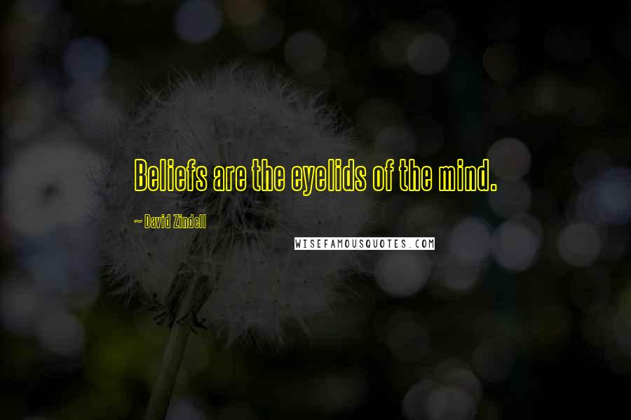 David Zindell Quotes: Beliefs are the eyelids of the mind.