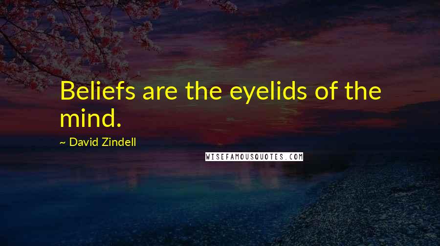 David Zindell Quotes: Beliefs are the eyelids of the mind.