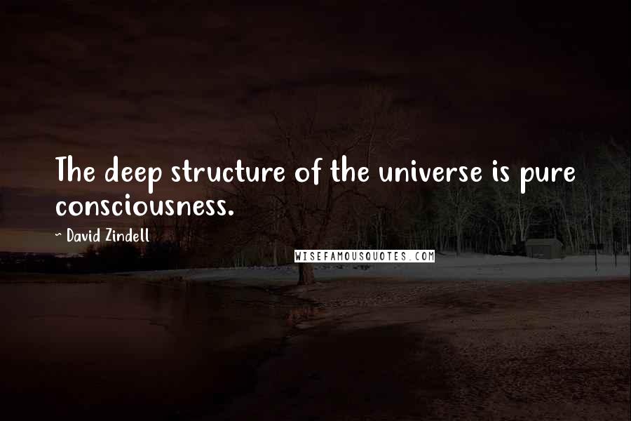 David Zindell Quotes: The deep structure of the universe is pure consciousness.