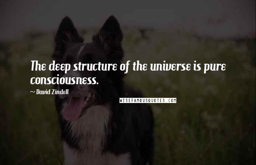 David Zindell Quotes: The deep structure of the universe is pure consciousness.