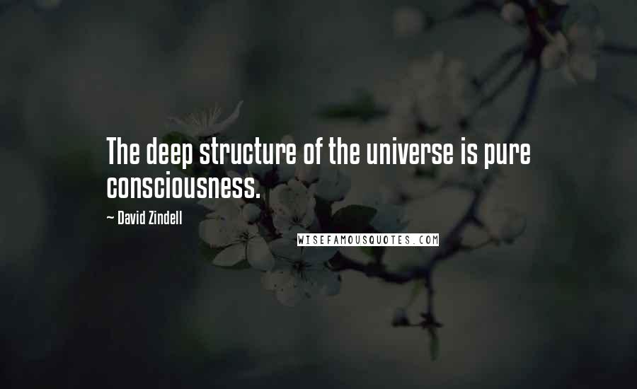 David Zindell Quotes: The deep structure of the universe is pure consciousness.