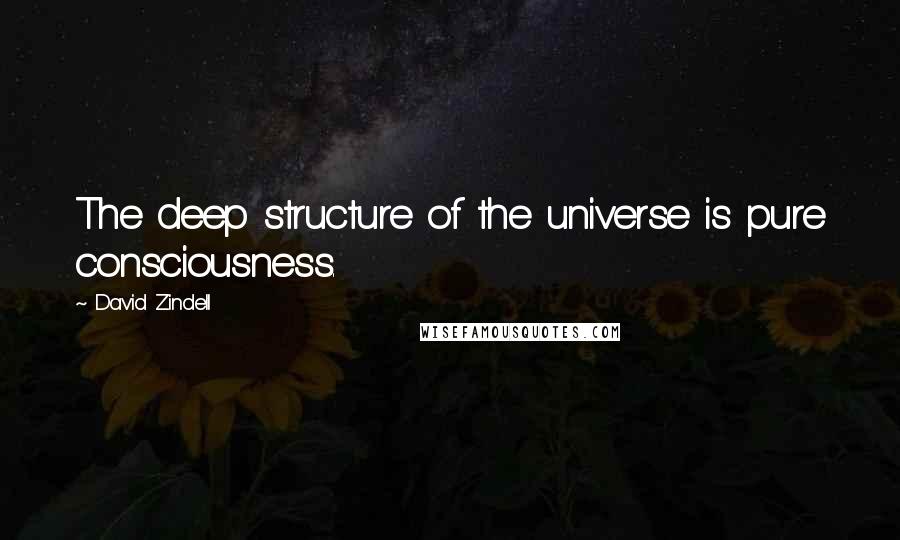 David Zindell Quotes: The deep structure of the universe is pure consciousness.