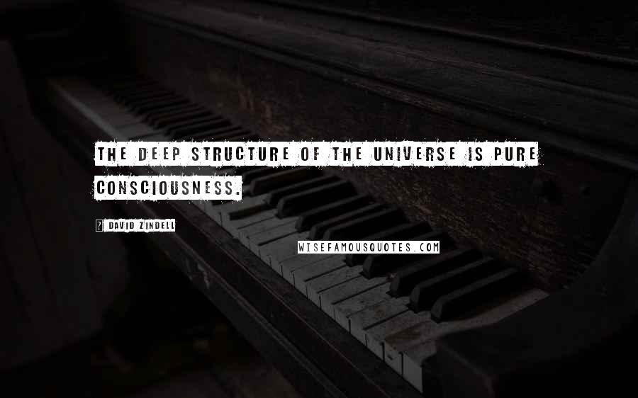 David Zindell Quotes: The deep structure of the universe is pure consciousness.