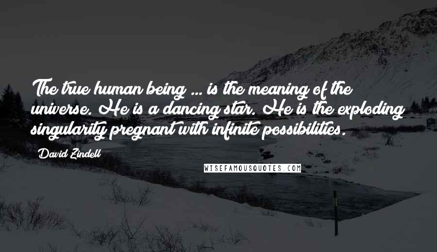 David Zindell Quotes: The true human being ... is the meaning of the universe. He is a dancing star. He is the exploding singularity pregnant with infinite possibilities.