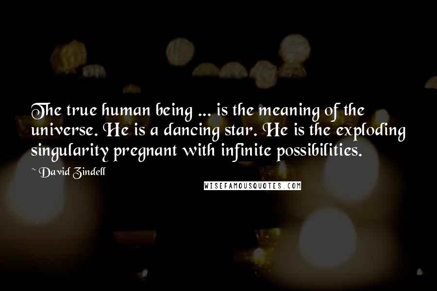 David Zindell Quotes: The true human being ... is the meaning of the universe. He is a dancing star. He is the exploding singularity pregnant with infinite possibilities.