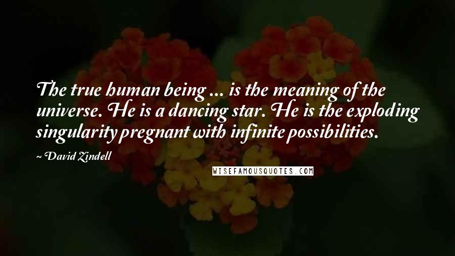 David Zindell Quotes: The true human being ... is the meaning of the universe. He is a dancing star. He is the exploding singularity pregnant with infinite possibilities.
