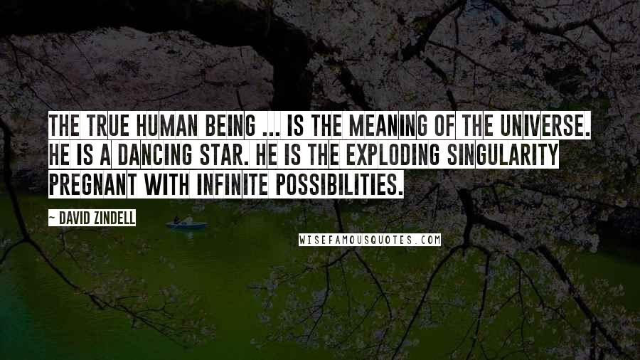 David Zindell Quotes: The true human being ... is the meaning of the universe. He is a dancing star. He is the exploding singularity pregnant with infinite possibilities.