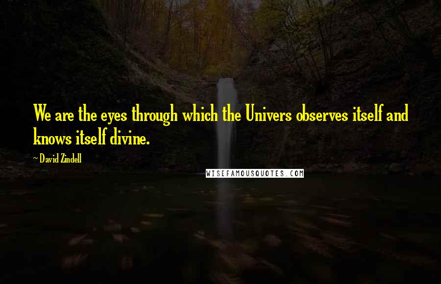 David Zindell Quotes: We are the eyes through which the Univers observes itself and knows itself divine.