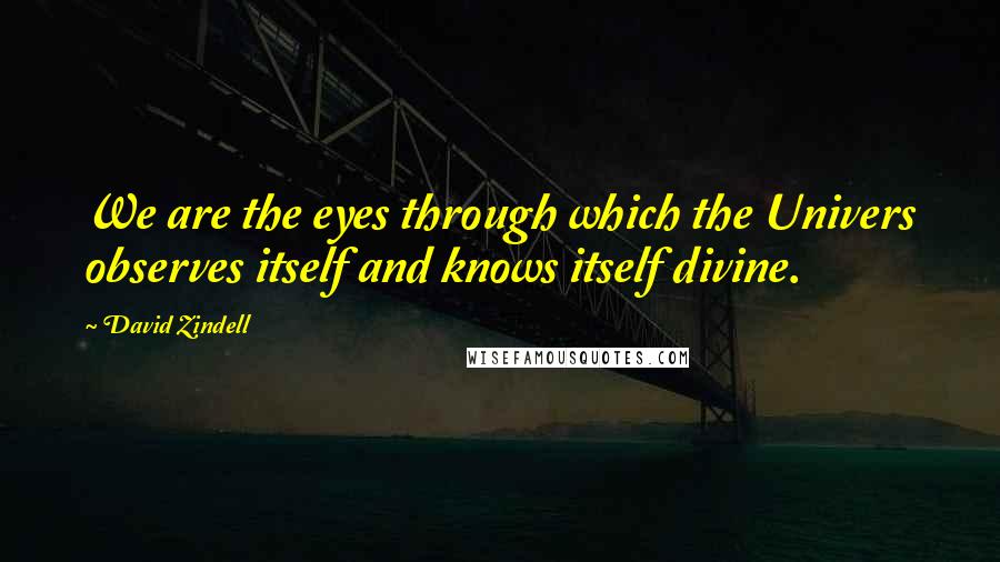 David Zindell Quotes: We are the eyes through which the Univers observes itself and knows itself divine.