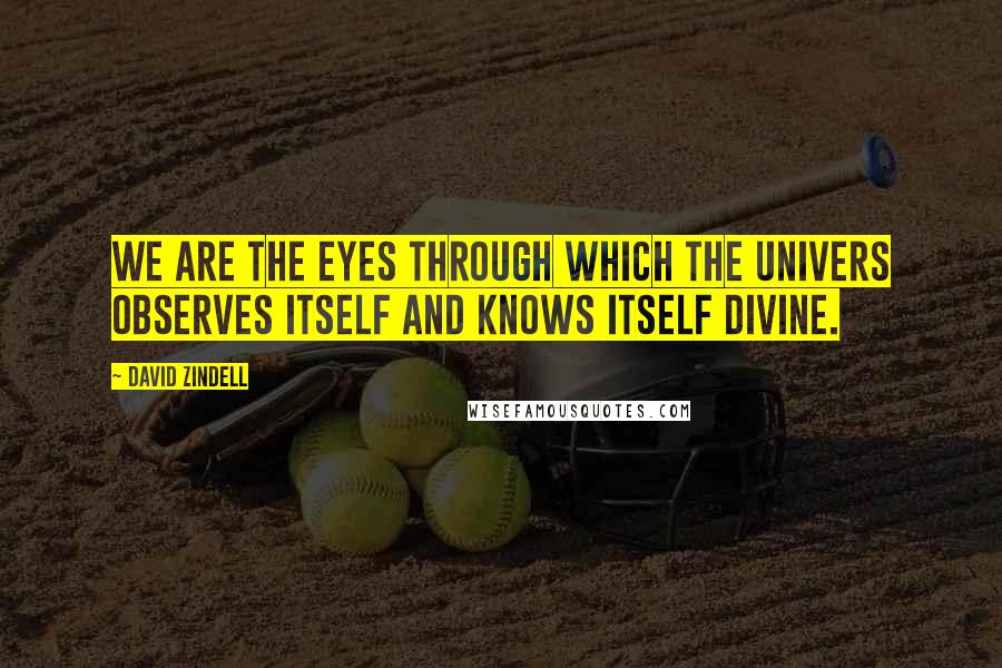 David Zindell Quotes: We are the eyes through which the Univers observes itself and knows itself divine.