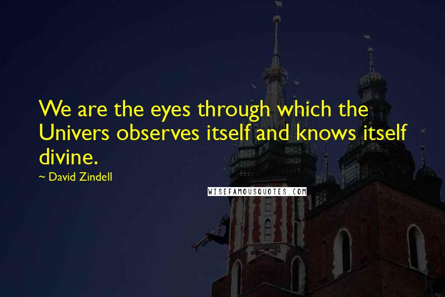 David Zindell Quotes: We are the eyes through which the Univers observes itself and knows itself divine.