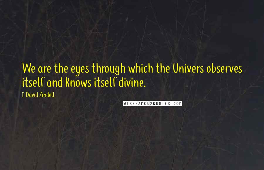 David Zindell Quotes: We are the eyes through which the Univers observes itself and knows itself divine.