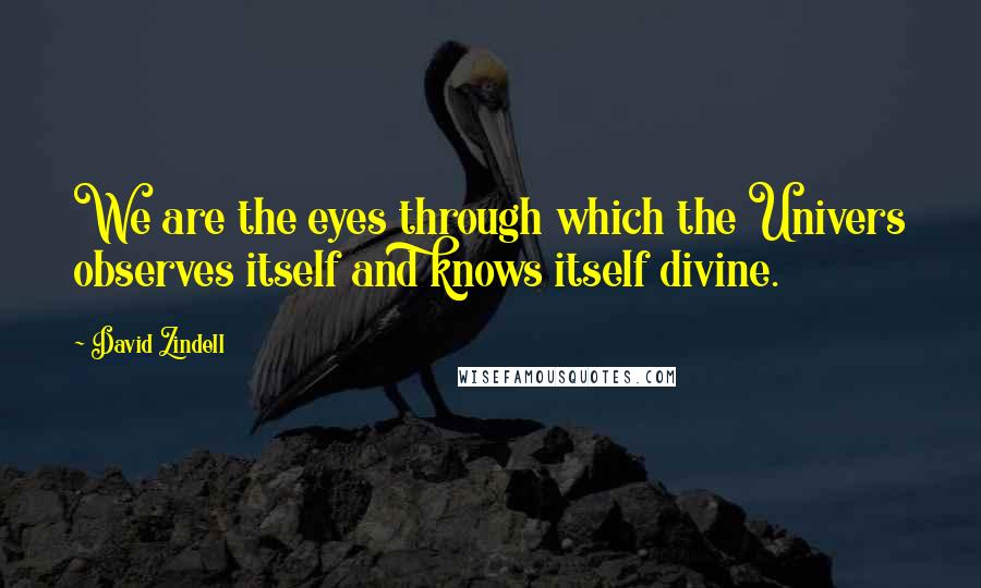 David Zindell Quotes: We are the eyes through which the Univers observes itself and knows itself divine.