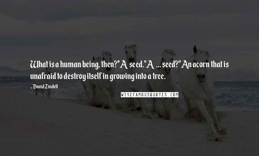 David Zindell Quotes: What is a human being, then?''A seed.''A ... seed?''An acorn that is unafraid to destroy itself in growing into a tree.
