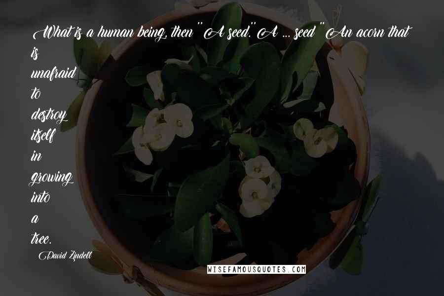 David Zindell Quotes: What is a human being, then?''A seed.''A ... seed?''An acorn that is unafraid to destroy itself in growing into a tree.
