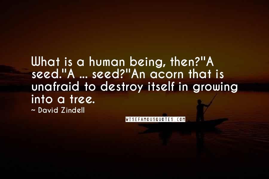 David Zindell Quotes: What is a human being, then?''A seed.''A ... seed?''An acorn that is unafraid to destroy itself in growing into a tree.
