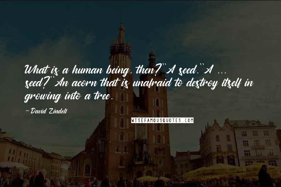 David Zindell Quotes: What is a human being, then?''A seed.''A ... seed?''An acorn that is unafraid to destroy itself in growing into a tree.