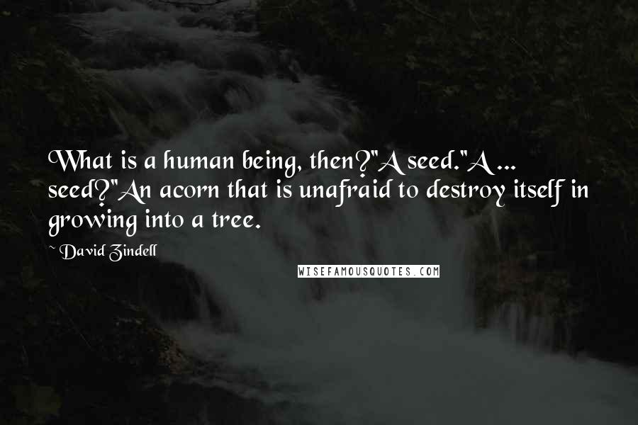 David Zindell Quotes: What is a human being, then?''A seed.''A ... seed?''An acorn that is unafraid to destroy itself in growing into a tree.