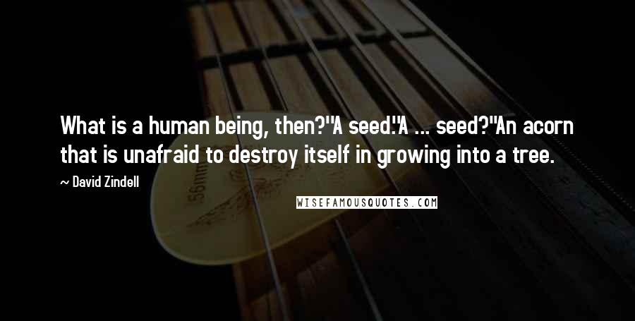 David Zindell Quotes: What is a human being, then?''A seed.''A ... seed?''An acorn that is unafraid to destroy itself in growing into a tree.