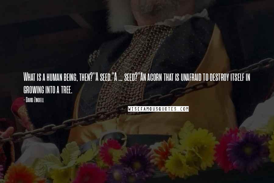 David Zindell Quotes: What is a human being, then?''A seed.''A ... seed?''An acorn that is unafraid to destroy itself in growing into a tree.