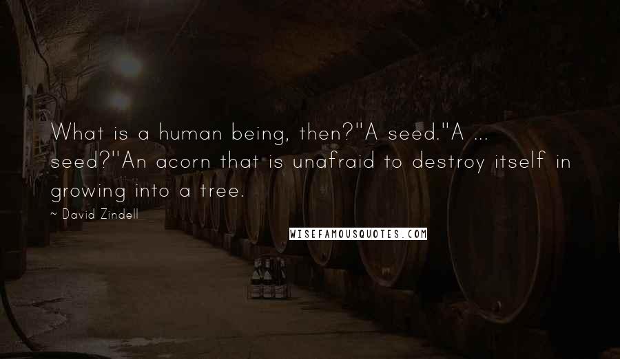 David Zindell Quotes: What is a human being, then?''A seed.''A ... seed?''An acorn that is unafraid to destroy itself in growing into a tree.