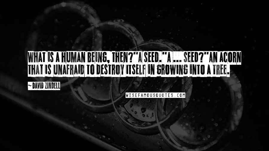 David Zindell Quotes: What is a human being, then?''A seed.''A ... seed?''An acorn that is unafraid to destroy itself in growing into a tree.