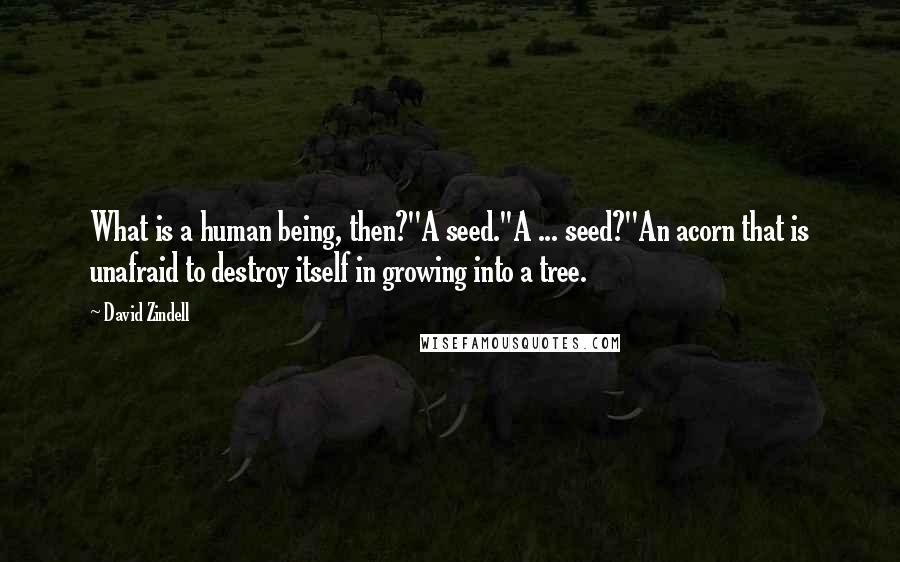 David Zindell Quotes: What is a human being, then?''A seed.''A ... seed?''An acorn that is unafraid to destroy itself in growing into a tree.