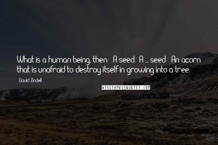 David Zindell Quotes: What is a human being, then?''A seed.''A ... seed?''An acorn that is unafraid to destroy itself in growing into a tree.