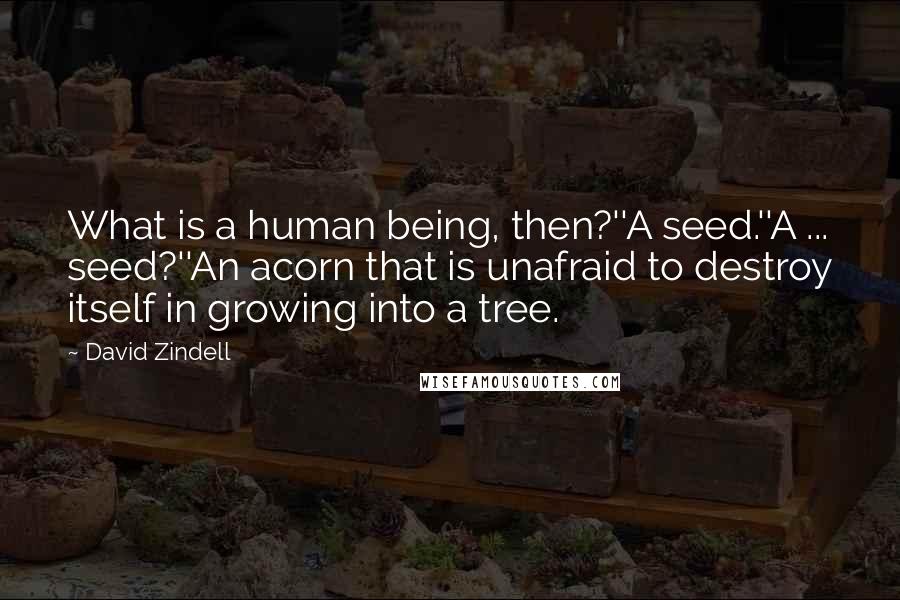 David Zindell Quotes: What is a human being, then?''A seed.''A ... seed?''An acorn that is unafraid to destroy itself in growing into a tree.