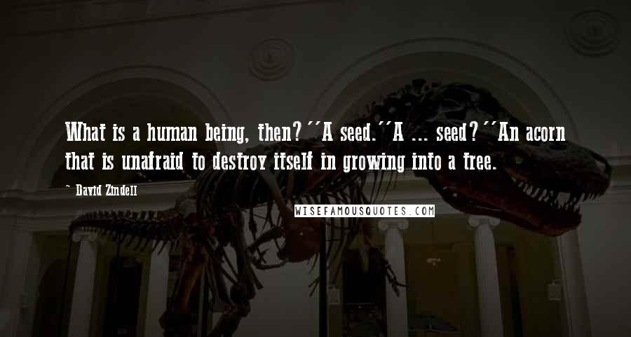 David Zindell Quotes: What is a human being, then?''A seed.''A ... seed?''An acorn that is unafraid to destroy itself in growing into a tree.
