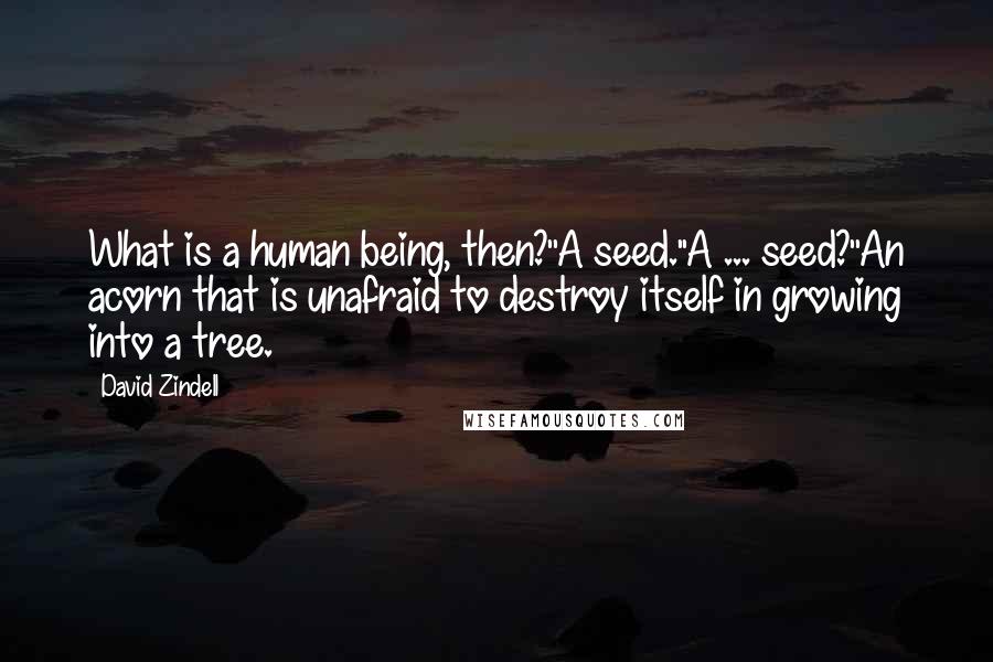 David Zindell Quotes: What is a human being, then?''A seed.''A ... seed?''An acorn that is unafraid to destroy itself in growing into a tree.