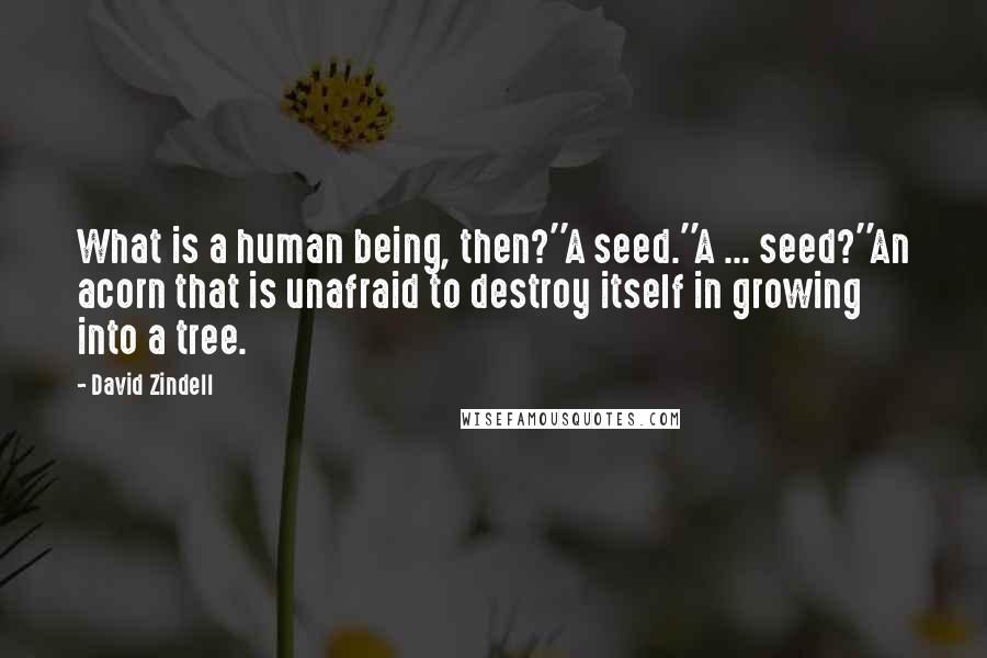 David Zindell Quotes: What is a human being, then?''A seed.''A ... seed?''An acorn that is unafraid to destroy itself in growing into a tree.