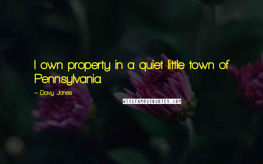 Davy Jones Quotes: I own property in a quiet little town of Pennsylvania.