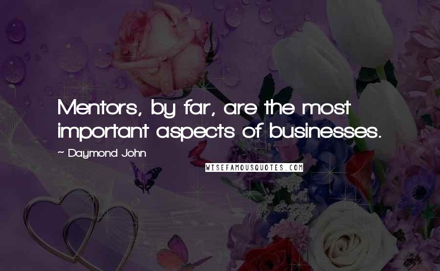 Daymond John Quotes: Mentors, by far, are the most important aspects of businesses.