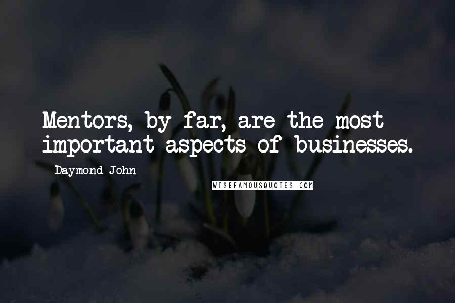 Daymond John Quotes: Mentors, by far, are the most important aspects of businesses.