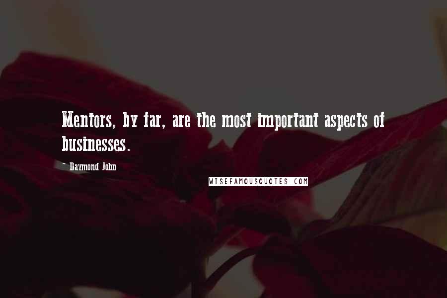 Daymond John Quotes: Mentors, by far, are the most important aspects of businesses.