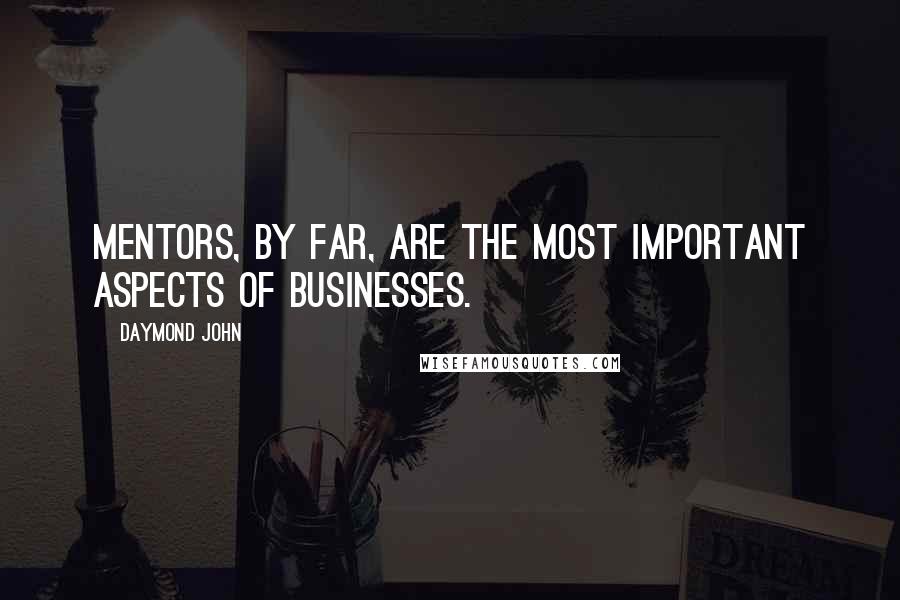 Daymond John Quotes: Mentors, by far, are the most important aspects of businesses.