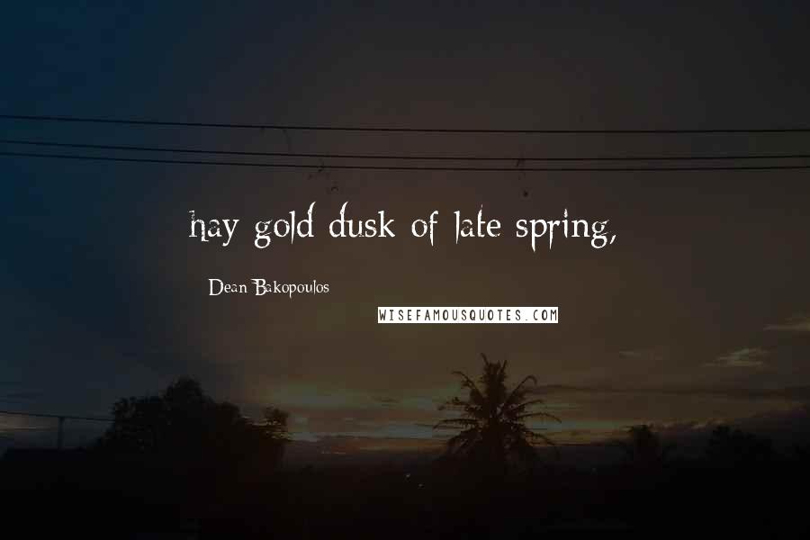 Dean Bakopoulos Quotes: hay gold dusk of late spring,